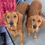 Fin and Ruby Carlson - @fin.and.ruby - Instagram