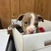 Ruby Carlson - Facebook