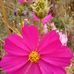 Ruby Carrasco Flores - Facebook