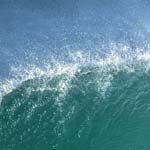 ruby - @rubycarver27 - Instagram