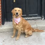Ruby Castle - @rubyinthecastle - Instagram