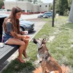 Ruby N Shepherd - @rubycastle_11 - Instagram
