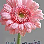 Ruby Chacko - @chacko8711 - Instagram