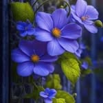 Ruby Chacko - @chacko6727 - Instagram