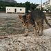 Ruby Chadwick - Facebook