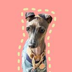 Ruby Chewsday - @rubychewsday_theiggy - Instagram