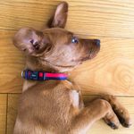Ruby Chewsday - @rubychewsdays - Instagram