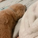 @ruby.lou.christensen - Instagram