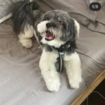 Ruby Christopher - @rubychristopher5 - Instagram