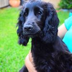 Ruby Clift - @thecrazyruby - Instagram