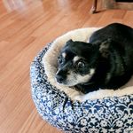 Ruby Combs Estes - @estes2800 - Instagram