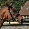 My_MAD_Mares - @ruby_cope - TikTok
