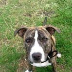 Ruby Cornwell - Facebook