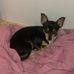 Ruby Costello - Facebook