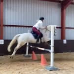 Ruby Craig - @equinerubylou - Instagram