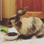 Ruby Crockett - @burty_burt123 - Instagram