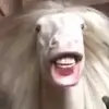 curlyhair_ruby - @curlyhair_ruby6 - TikTok