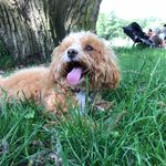 ruby rubin - @ruby.curly1 - Instagram