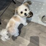 Ruby Dale - Facebook