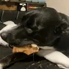 Rubydale - @rubydale - TikTok