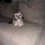 Ruby Dancy - @dancy8425 - Instagram