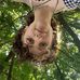 Ruby Davenport - Facebook