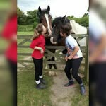 Dearsleys are the best - @rubydearsley - Instagram