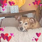 Ruby Dick - Facebook