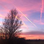 Ruby - @rubydickinson51 - Instagram