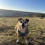 Ruby Dicks - Facebook