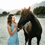 Ruby Doss Equine - @rubydossequine - Instagram