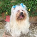 RUBY - @ruby.rodrigues.dos.santos - Instagram