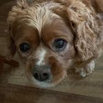 Ruby Downey - @michelled0710 - Instagram