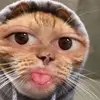 user7455097847656 - @rubydowney214 - TikTok