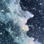 Ruby - @rubydowns082 - Instagram