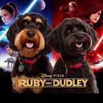 Ruby and Dudley - @rubyroo_and_dudley_too - Instagram