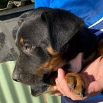 Ruby Edmonds😏 - @ruby_edmonds123 - Instagram