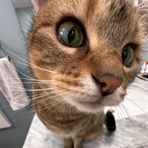 Ruby Elder - Facebook