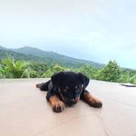 Ruby elder - @ruby30_23 - Instagram