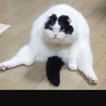 Itzruby - @ruby_emery_ - Instagram