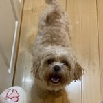 Ruby Farmer - @rubes_f123 - Instagram