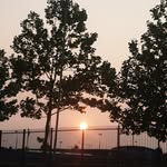 rubyfarmer - @rubyfarmer582 - Instagram