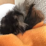 Ruby Felton - @teddy_love_felton_ - Instagram