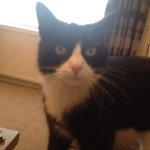 Ruby - @ruby_fitch - Instagram