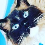 Ruby Fletcher - @rubyleighfletch - Instagram