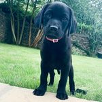 Ruby Fletcher - @rubyplumfletcher - Instagram