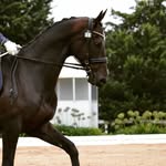 Ruby Ford - @ruby_ford_equestrian - Instagram