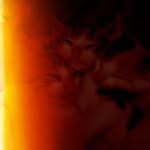 Ruby Forde - @ruby_rosemary22 - Instagram