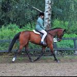 Ruby Fowler - @ruby.fowler.showjumping - Instagram