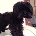 Ruby Fulton - Facebook
